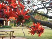 Memorial Gate - Hluhuwe-iMfolozi